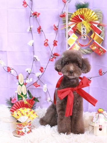 20230126きょうのちゃん